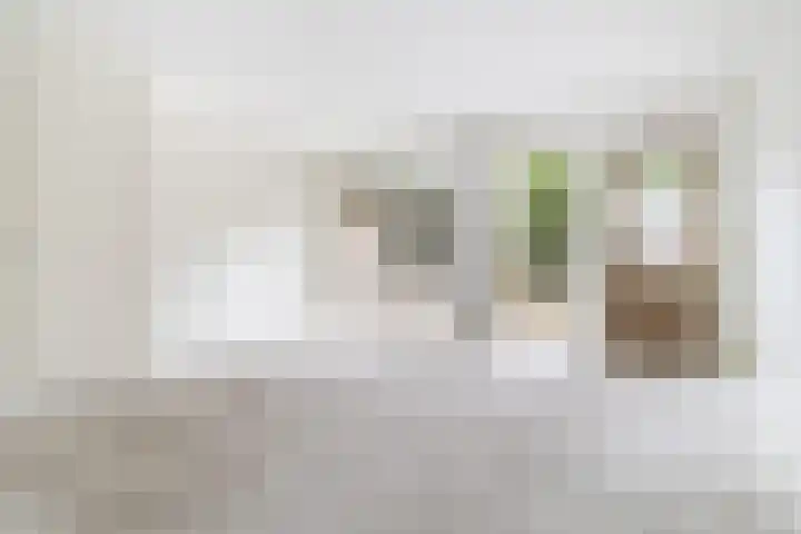 Loevensteinlaan 2 F Oosterhout thumbnail 9