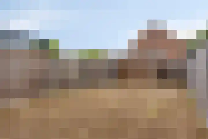 Loevensteinlaan 20 Oosterhout thumbnail 24
