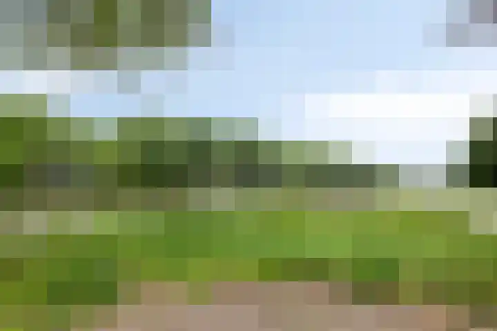 Loevensteinlaan 20 Oosterhout thumbnail 25