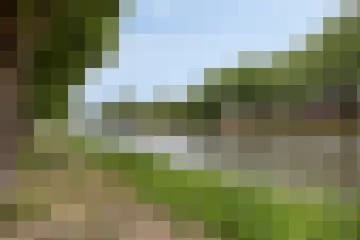 Loevensteinlaan 20 Oosterhout thumbnail 26