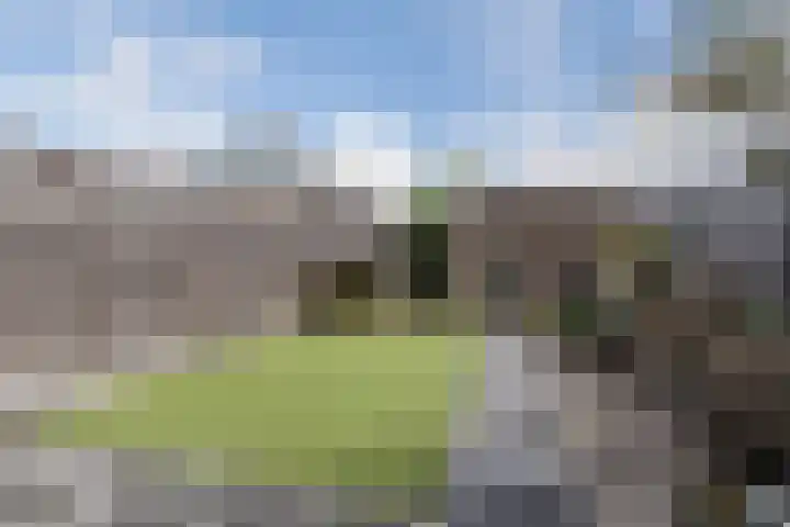 Loevensteinlaan 46 Oosterhout thumbnail 32