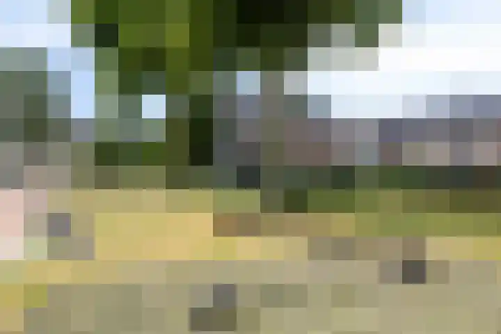 Loevensteinlaan 55 C Oosterhout thumbnail 29
