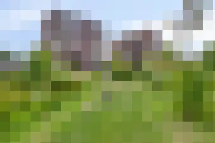 Loevensteinlaan 55 C Oosterhout thumbnail 31