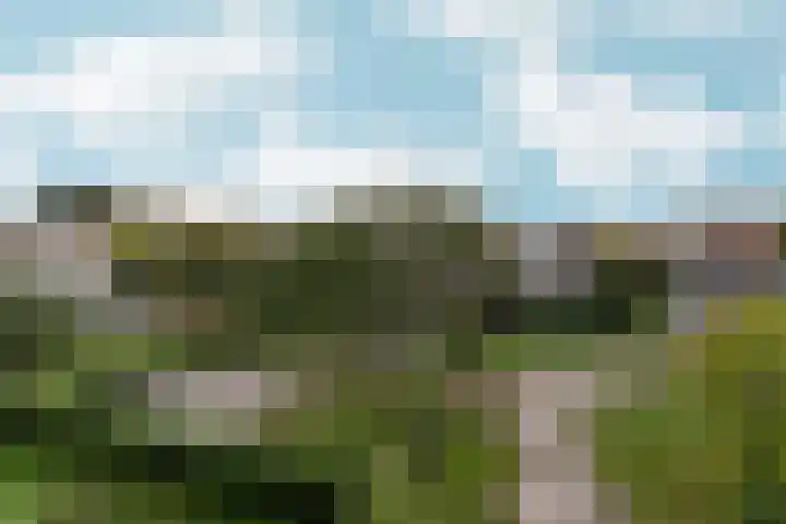 Loevestein 122 Amsterdam thumbnail 20