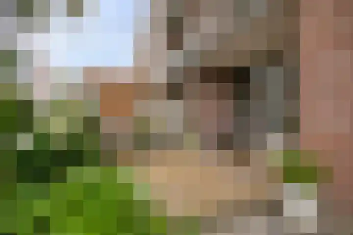 Loevestein 123 in Amsterdam