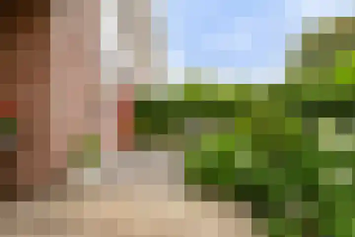 Loevestein 123 Amsterdam thumbnail 22