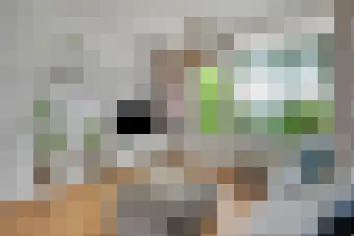 Loevestein 123 Amsterdam thumbnail 7