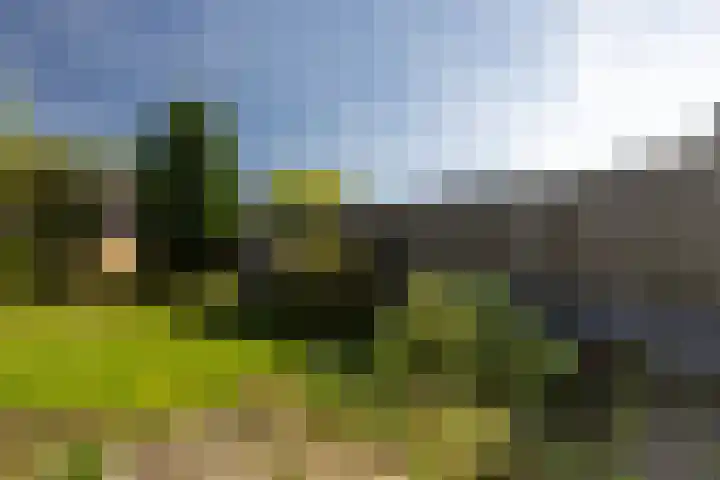 Loevestein 153 Alphen aan den Rijn thumbnail 16