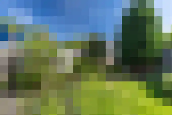 Loevestein 153 Alphen aan den Rijn thumbnail 18