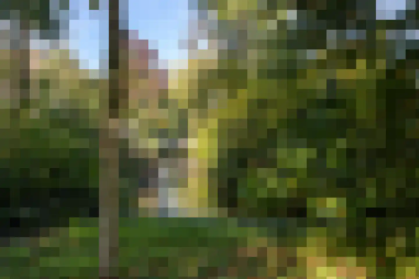 Loevestein 19 Leiderdorp thumbnail 30