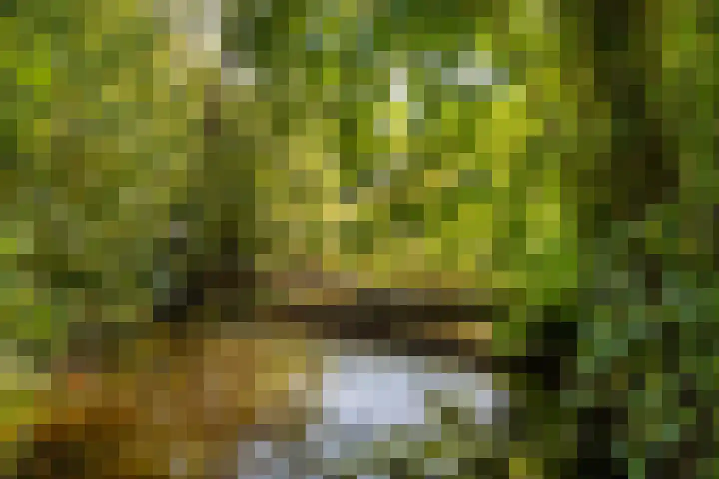 Loevestein 19 Leiderdorp thumbnail 32