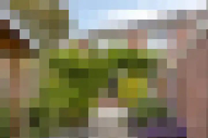 Loevestein 22 Gouda thumbnail 31