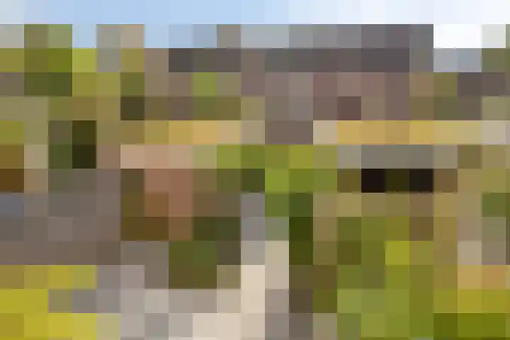 Loevestein 22 Gouda thumbnail 4