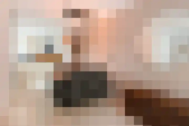 Loevestein 27 Dordrecht thumbnail 13