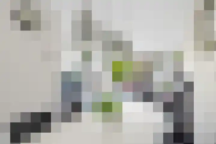 Loevestein 32 Dordrecht thumbnail 7