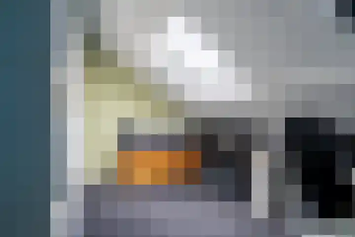 Loevestein 39 Sleeuwijk thumbnail 23