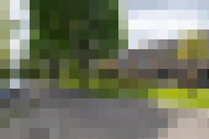 Loevestein 39 Sleeuwijk thumbnail 4