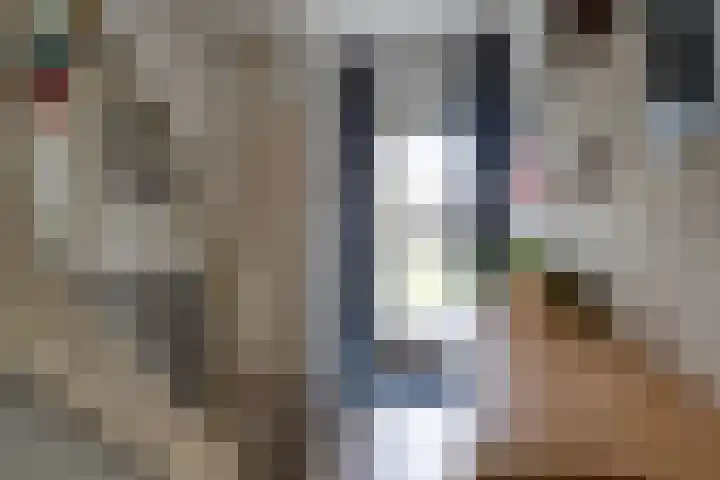 Loevestein 39 Sleeuwijk thumbnail 5