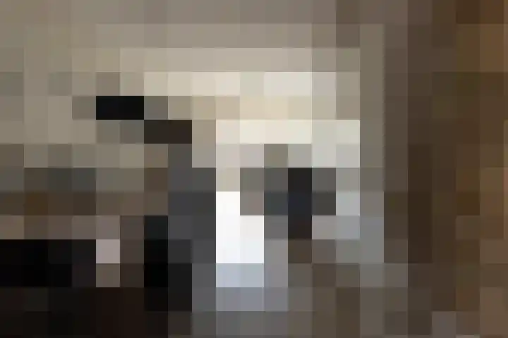 Loevestein 4 Ede thumbnail 10