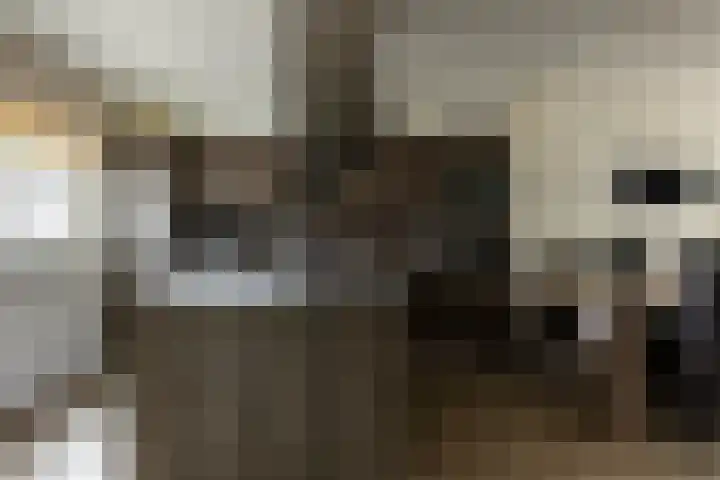 Loevestein 4 Ede thumbnail 12