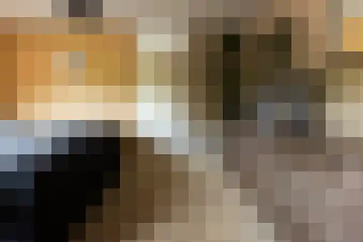 Loevestein 4 Ede thumbnail 15