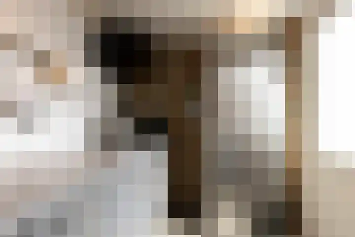 Loevestein 4 Ede thumbnail 5