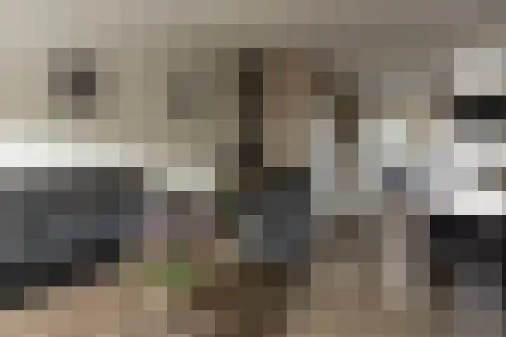 Loevestein 4 Ede thumbnail 8