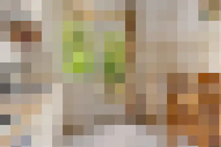 Loevestein 4 Ugchelen thumbnail 12