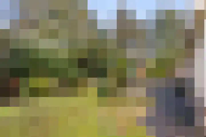 Loevestein 4 Ugchelen thumbnail 28