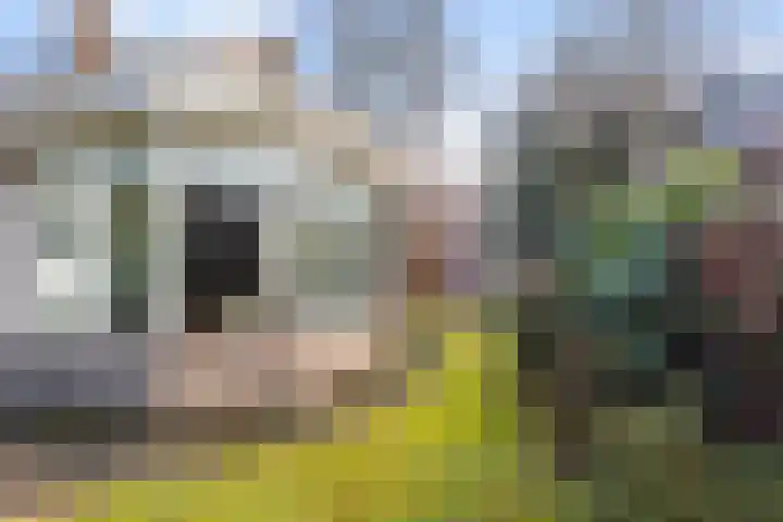 Loevestein 4 Ugchelen thumbnail 30