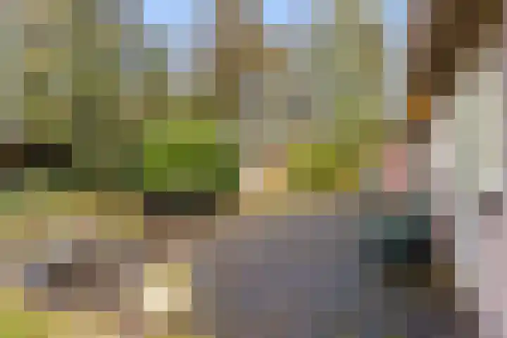 Loevestein 4 Ugchelen thumbnail 32