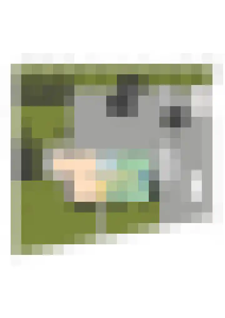Loevestein 4 Ugchelen thumbnail 42