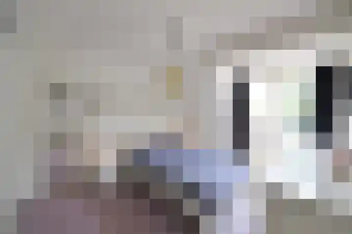 Loevestein 5 Huizen thumbnail 10