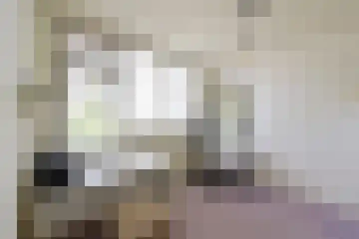 Loevestein 5 Huizen thumbnail 11
