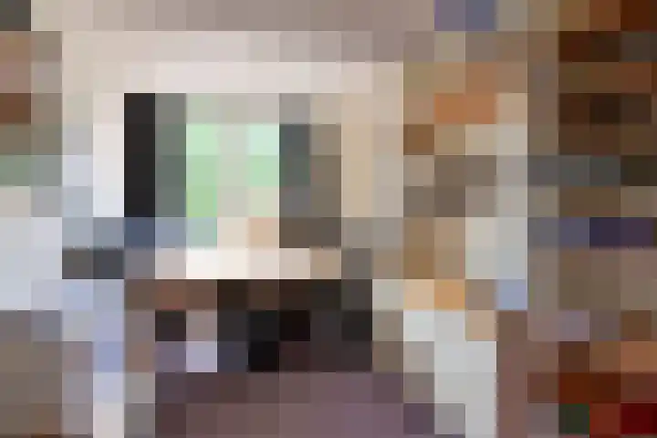 Loevestein 5 Huizen thumbnail 12