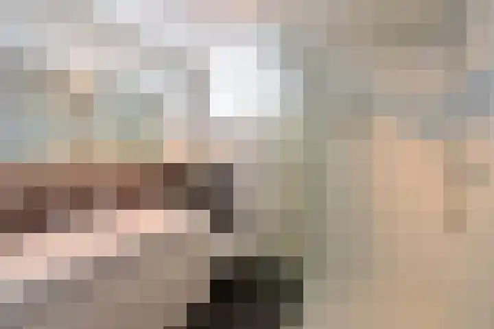 Loevestein 5 Huizen thumbnail 13