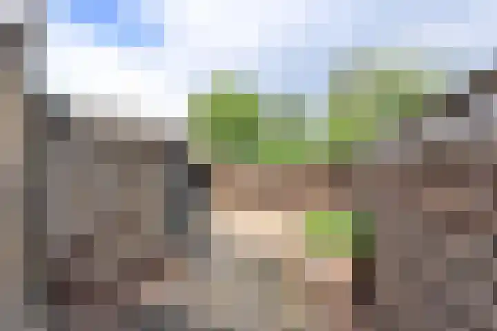 Loevestein 5 Huizen thumbnail 15
