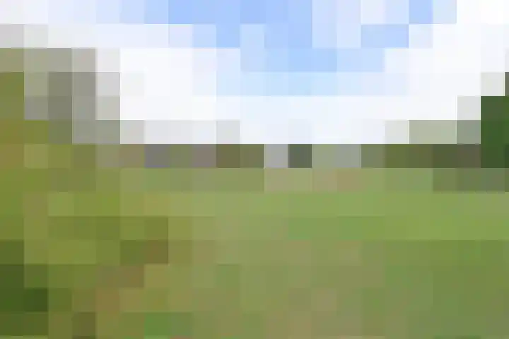 Loevestein 5 Huizen thumbnail 17