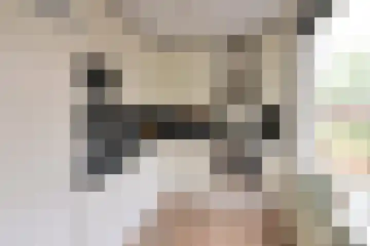 Loevestein 5 Huizen thumbnail 5