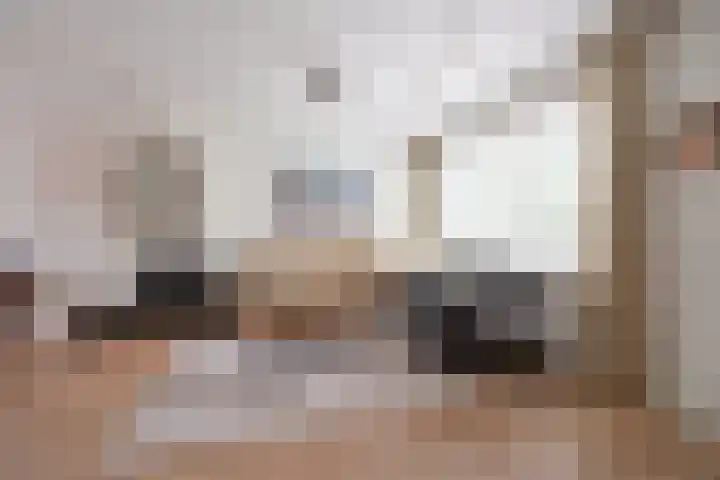 Loevestein 5 Huizen thumbnail 7