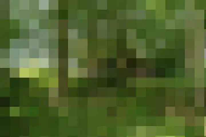 Loevestein 6 Gorredijk thumbnail 14