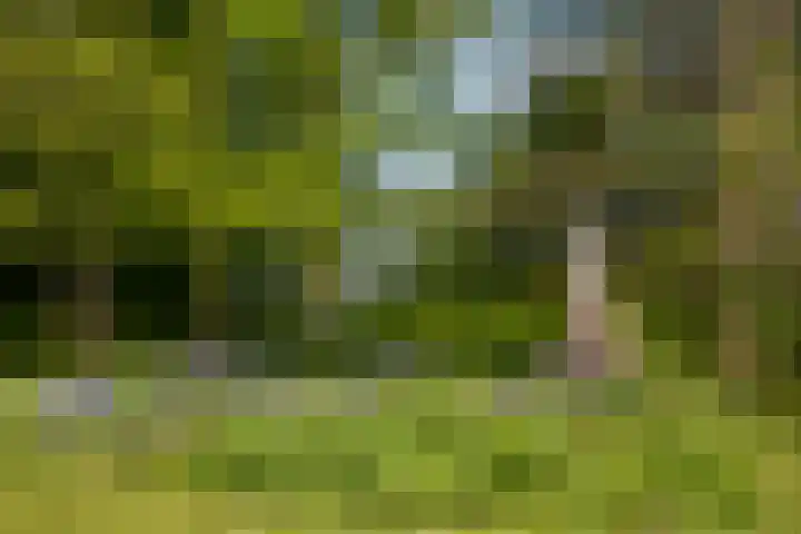 Loevestein 6 Gorredijk thumbnail 17