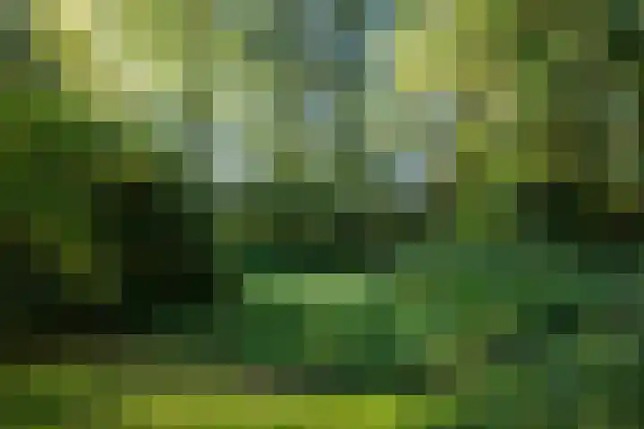 Loevestein 6 Gorredijk thumbnail 18