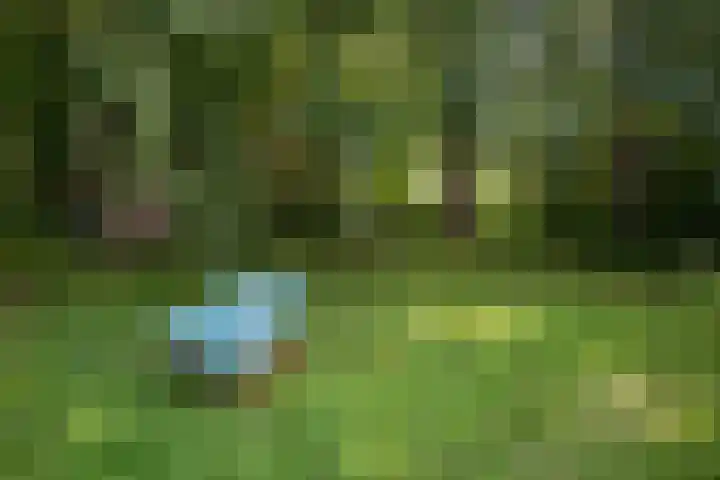 Loevestein 6 Gorredijk thumbnail 19