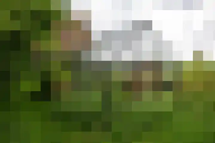 Loevestein 6 Gorredijk thumbnail 22