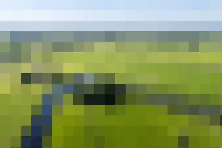 Loevestein 6 Gorredijk thumbnail 5
