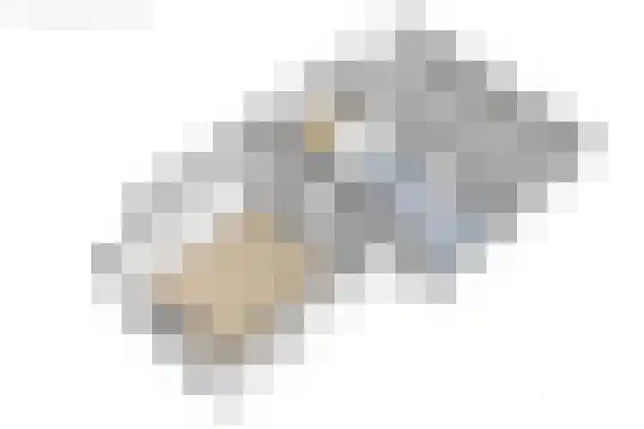 Loevestein 6 Gorredijk thumbnail 61
