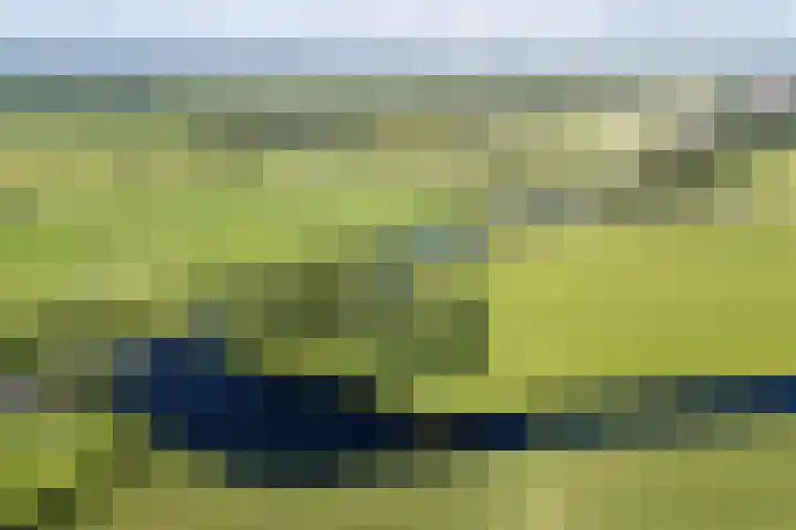 Loevestein 6 Gorredijk thumbnail 7