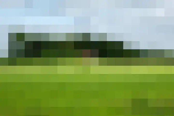 Loevestein 6 Gorredijk thumbnail 9