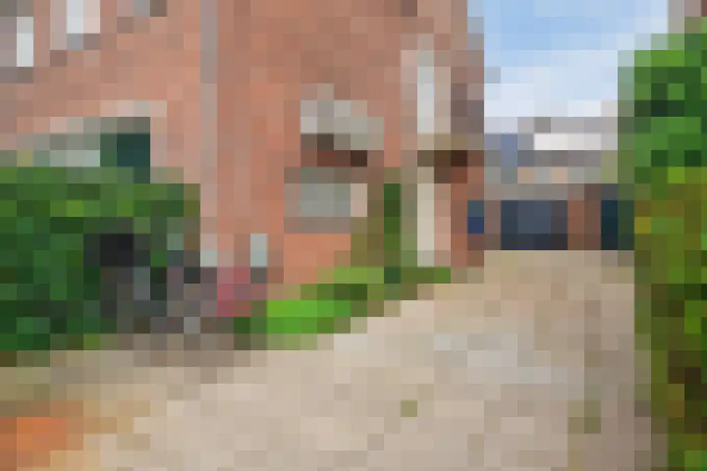 Loevestein 7 A Leiderdorp thumbnail 42